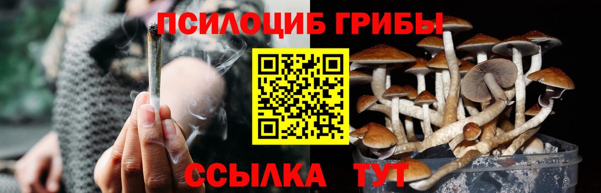 Канаш  Псилоцибиновые грибы прущие грибы  Вход с VPN 